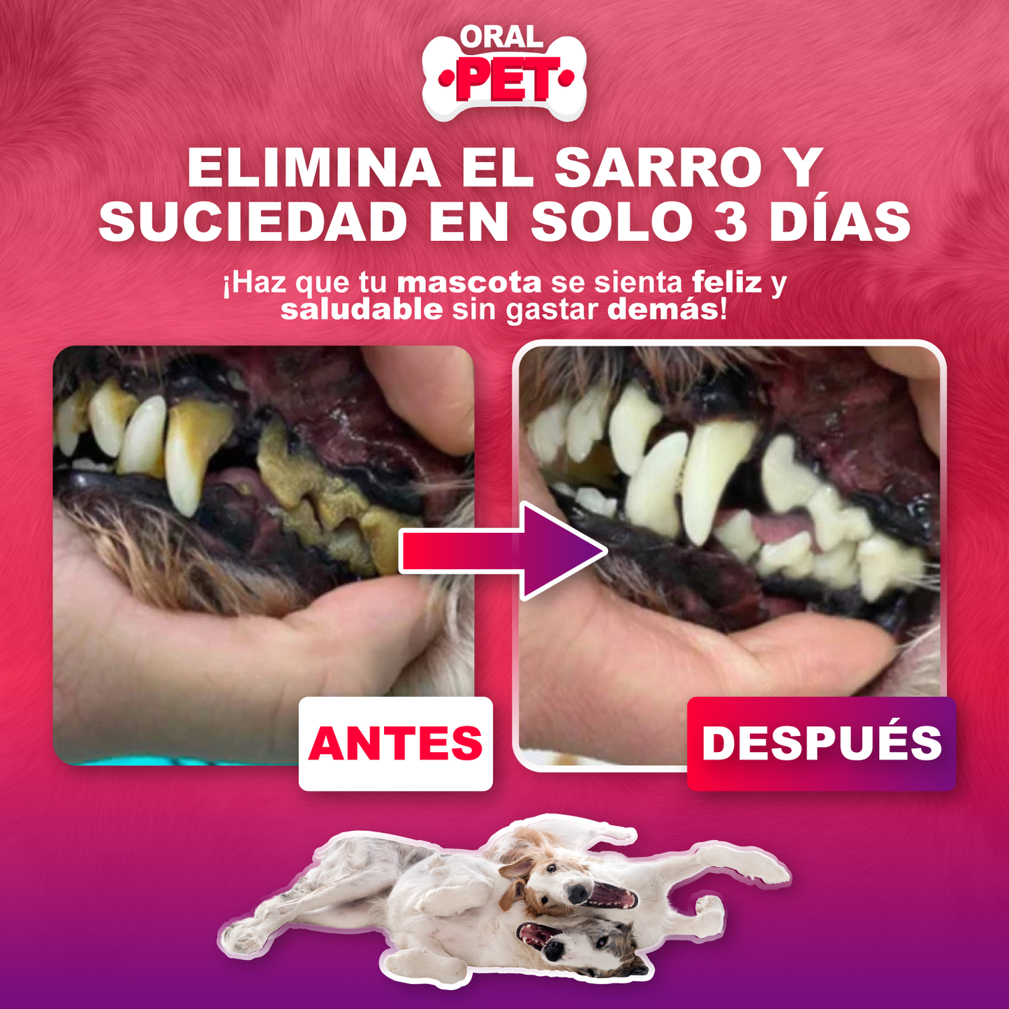 OralPet™ El spray dental para perros y gatos Sin cepillo. Sin lucha. Sin culpa.