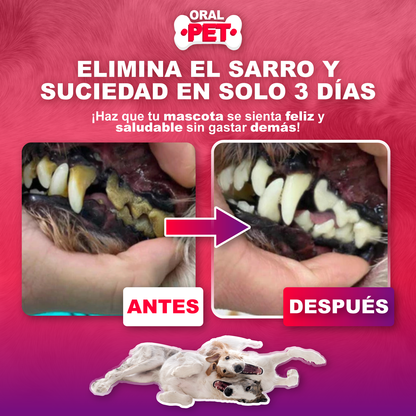 OralPet™ El spray dental para perros y gatos Sin cepillo. Sin lucha. Sin culpa.